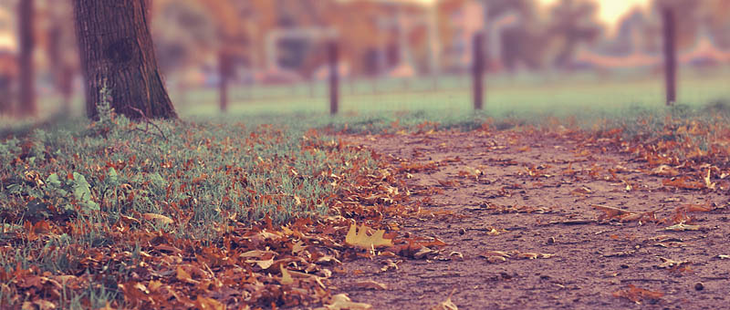 【技术支持】专业的无限拨打电话软件